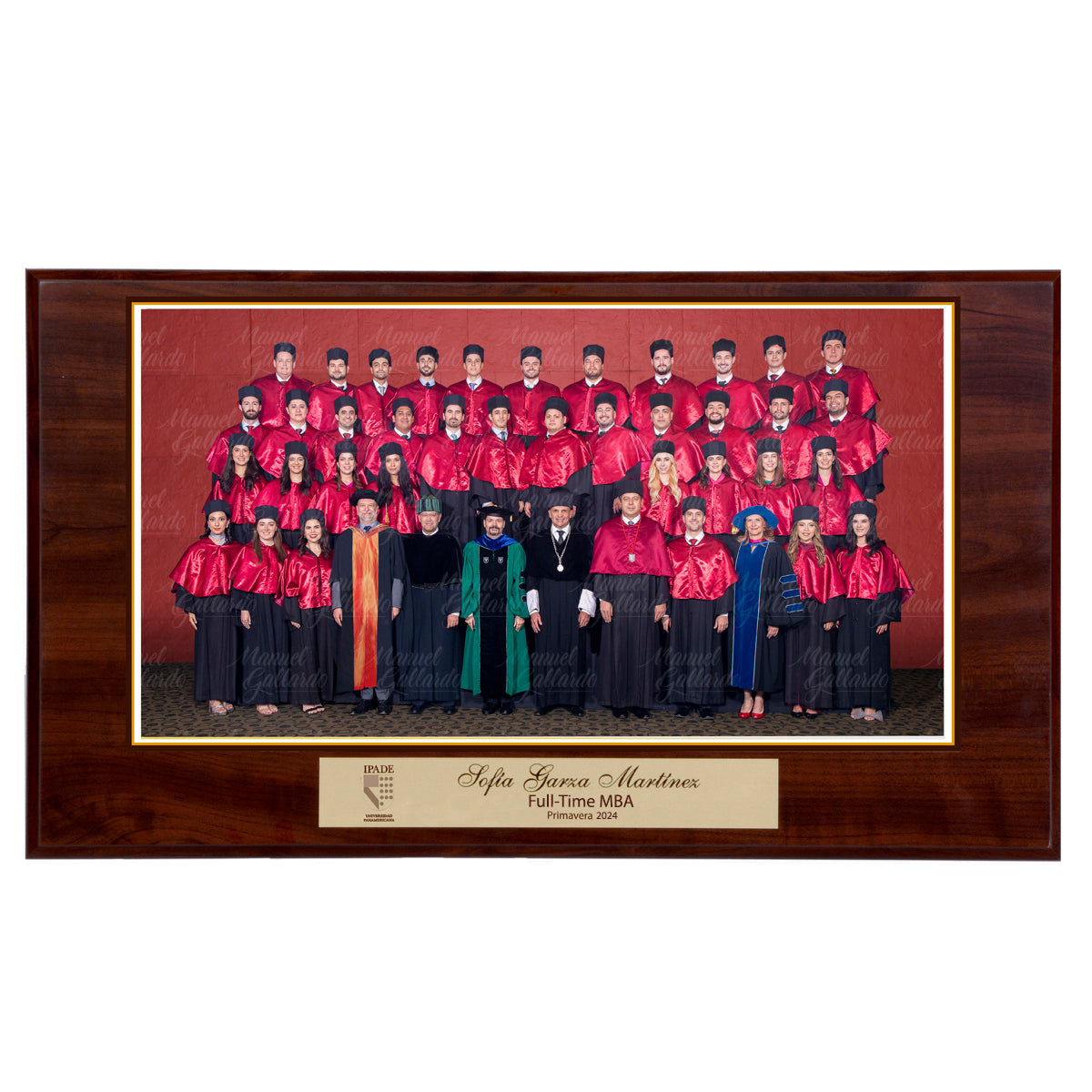 Modelo 19 - Foto 9x17” con placa dorada personalizada y base café