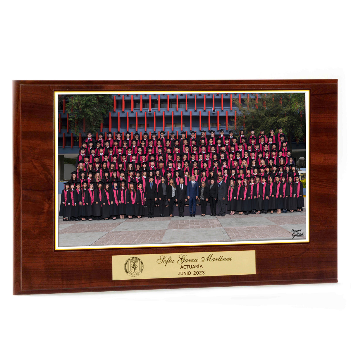 Modelo 19 - Foto 9x17” con placa dorada personalizada y base café