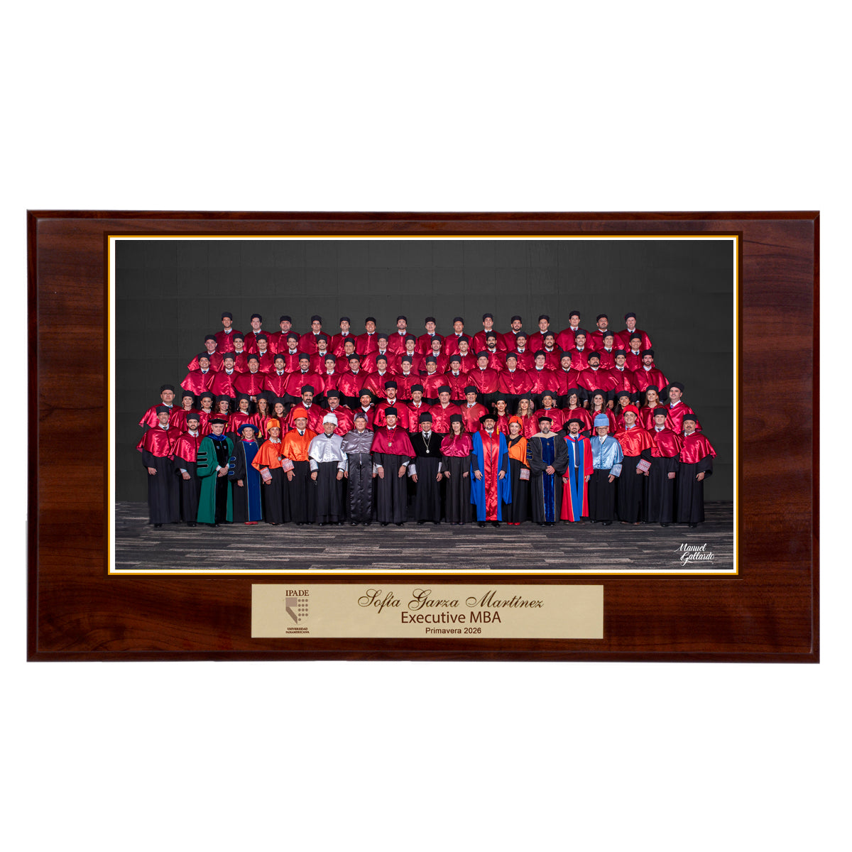 Modelo 19 - Foto 9x17” con placa dorada personalizada y base café