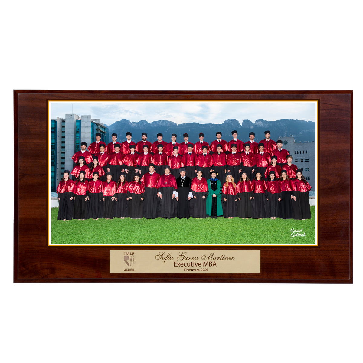 Modelo 19 - Foto 9x17” con placa dorada personalizada y base café